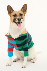 Multi-color striped knit pet sweater with green zipper and ribbed cuffs