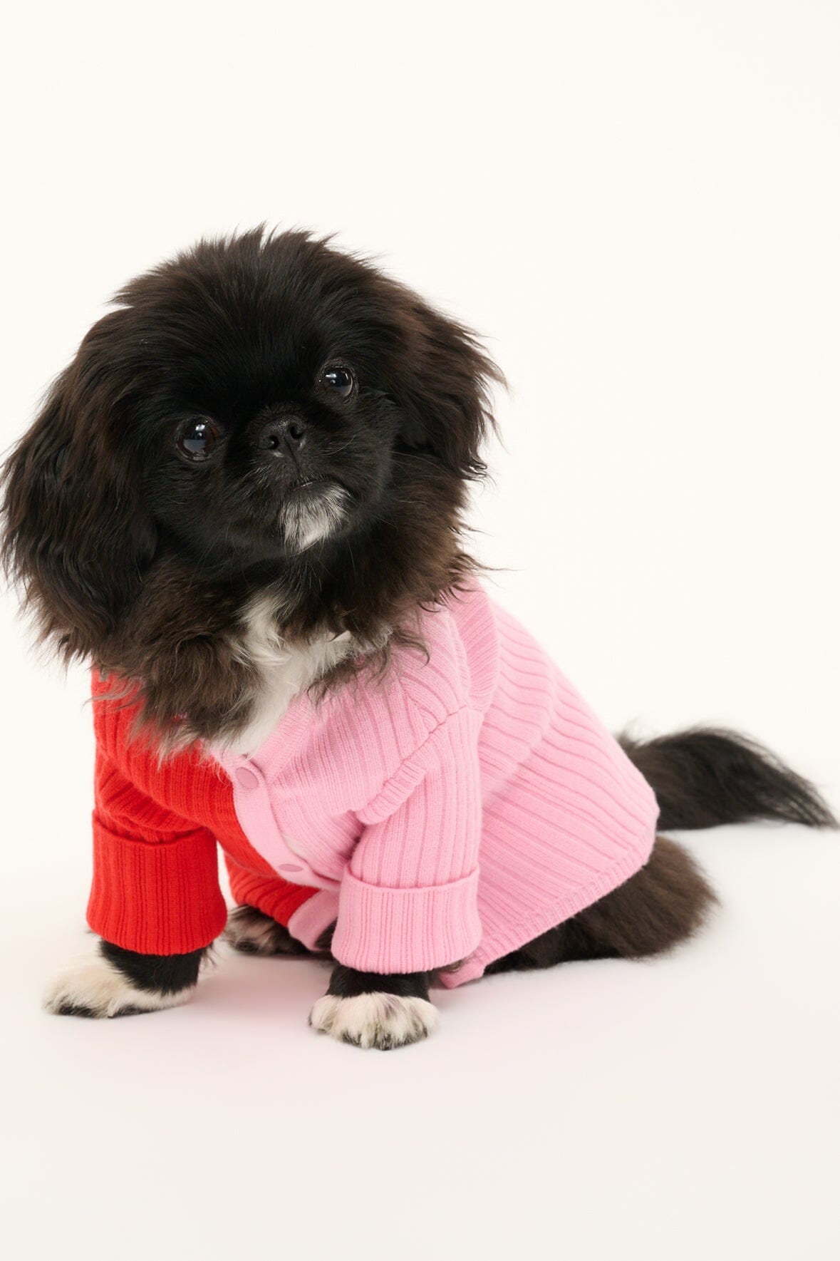 Pale pink and red ribbed pet sweater with button front and striped cuffs