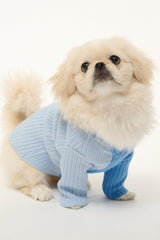 Periwinkle blue knit dog sweater with ribbed cuffs and button-front closure