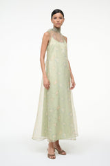 Light green sleeveless maxi dress with high neckline and botanical pattern