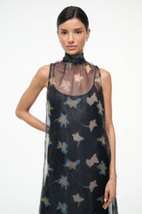 Sleeveless high-neck dress bodice, sheer dark fabric with pale bird print