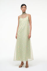 Light green sleeveless maxi dress with botanical print, high neck, and straight hem