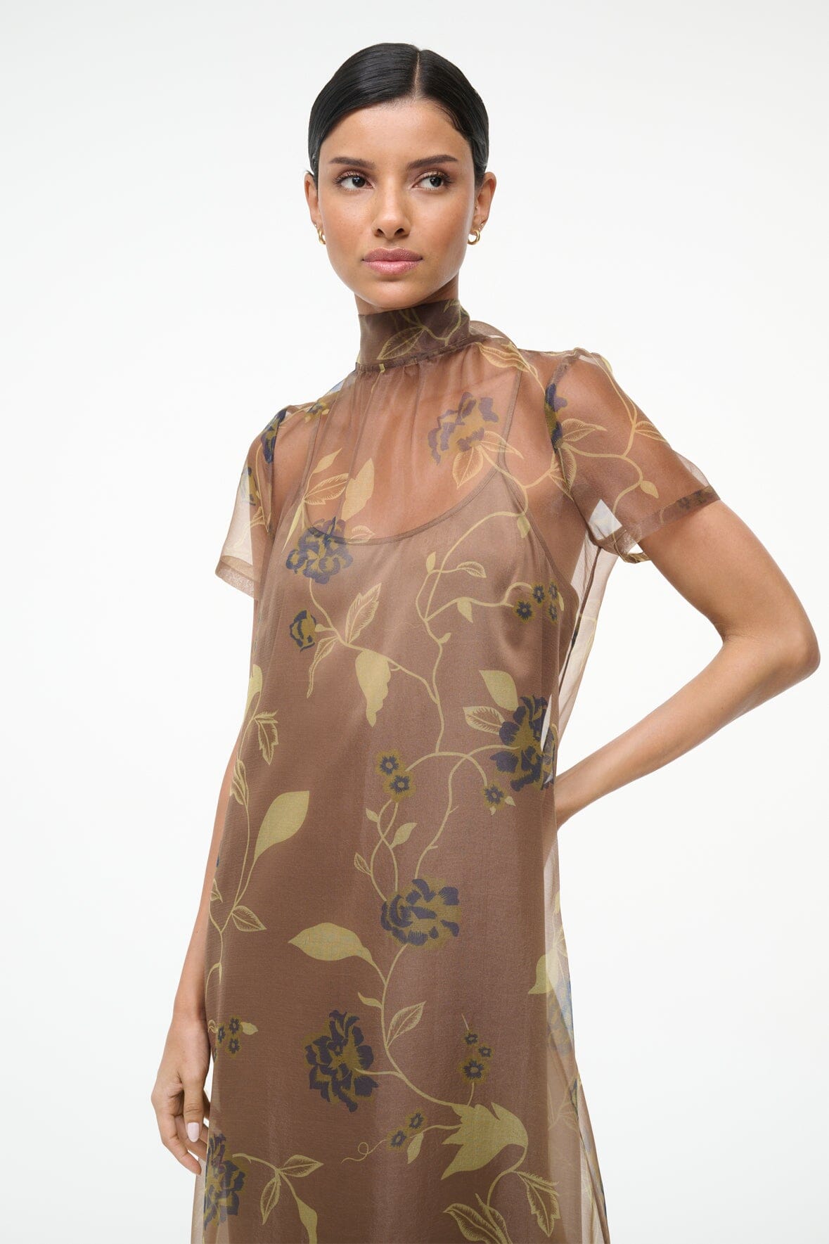 Brown sheer maxi dress with vintage floral print, high neck, short ruffled sleeves