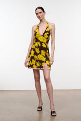 GOLDEN DAISY