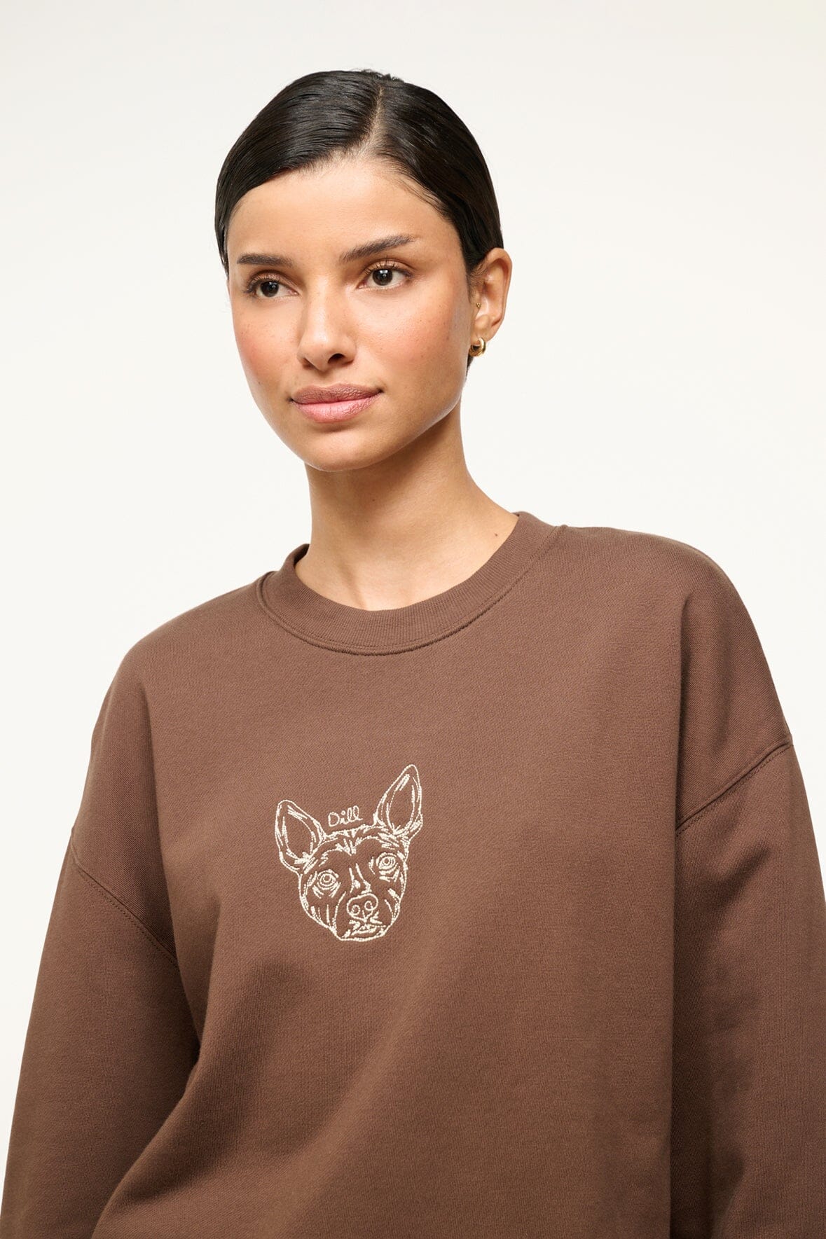 Brown crewneck sweatshirt with dog-face graphic, close-up front