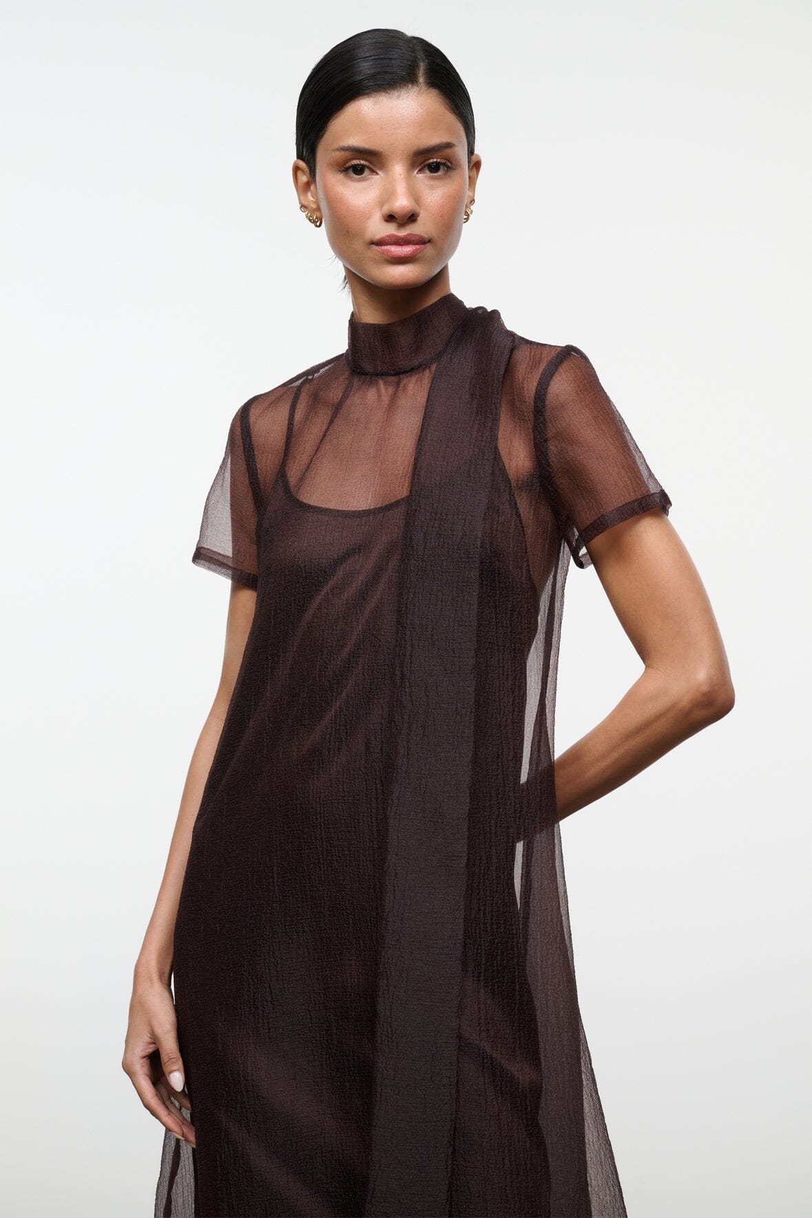 Dark brown sheer maxi dress with high neckline and short sleeves