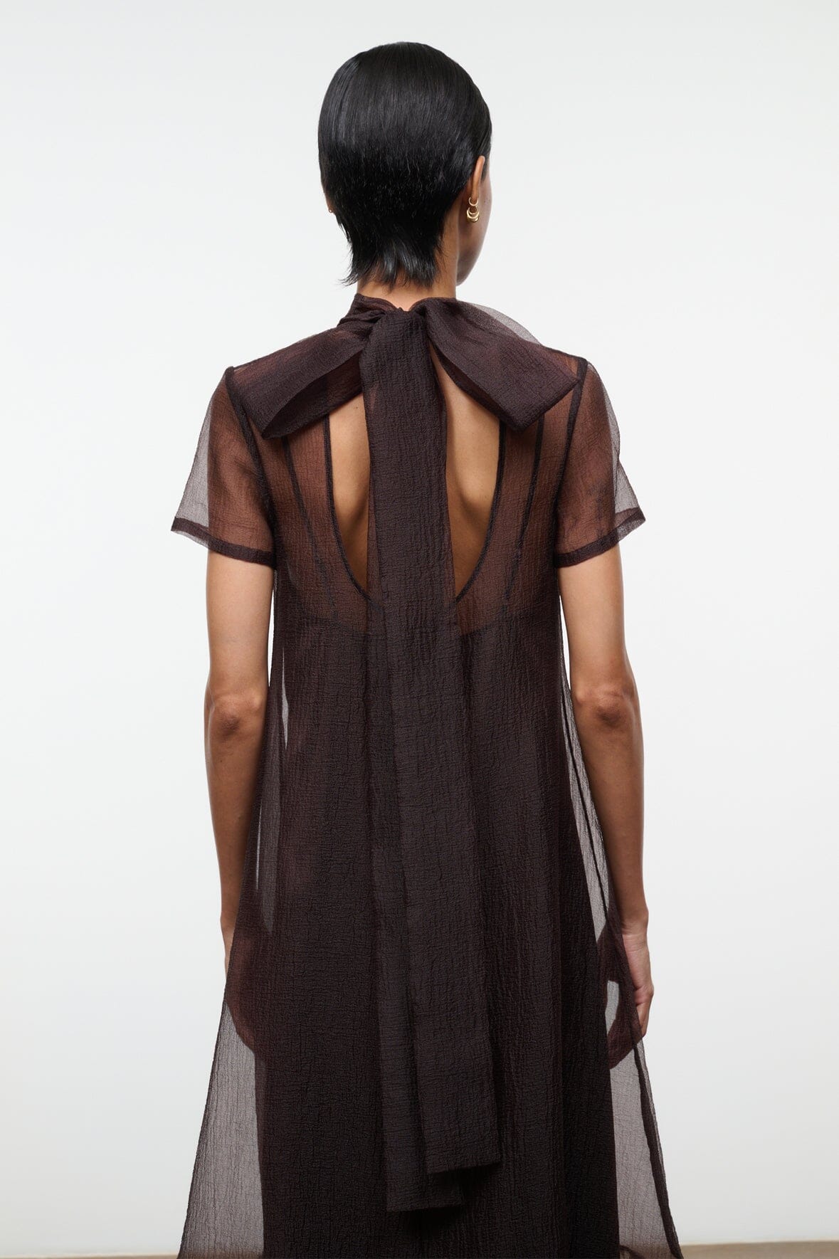 Dark brown sheer maxi dress with open back, draped panel and neck tie bow