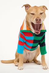 Multi-color cabana-striped pet sweater with front zipper and ribbed collar