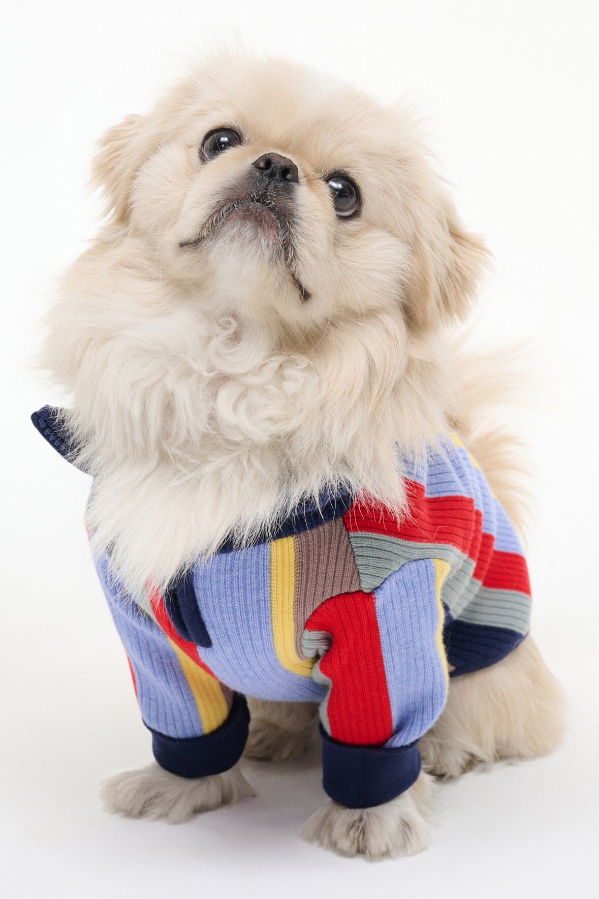 Dog sweater with navy, red, and yellow vertical stripe knit and ribbed cuffs