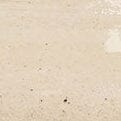 Cream ceramic vase surface detail with speckled glaze texture and faint marks