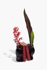 Black ceramic vase bookends with stacked red books and green leaf stems