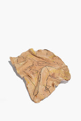 Ceramic crinkle wall art, tan multi-glaze with black linework on sculpted form