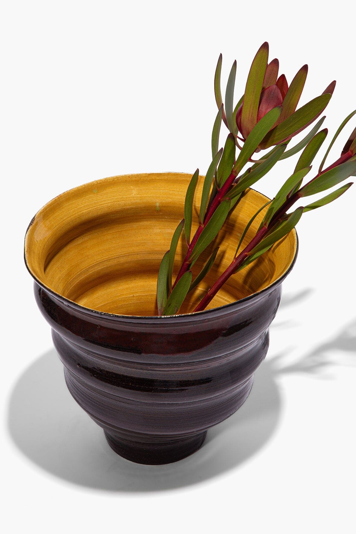 Stacked cone vase holding red and green flower stems, mustard interior