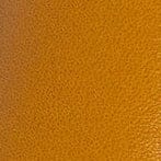 Close-up of pebbled leather texture in warm goldenrod tone for lighter cover.