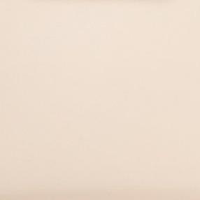 Cream leather bag close-up, smooth finish with subtle texture