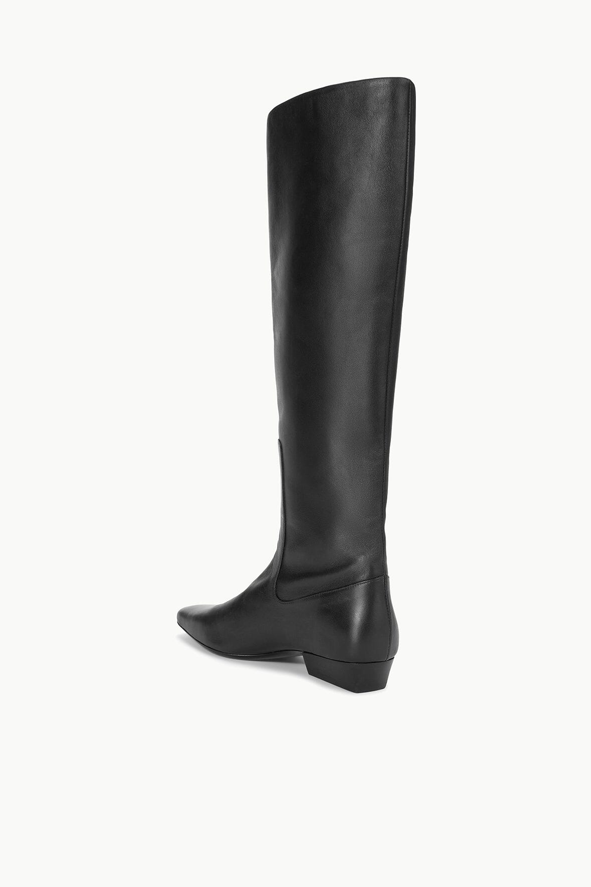 Black flat-heeled tall boot with low block heel and pointed toe